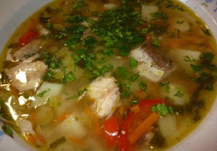 Cele mai bune supe din retetele conservate de somon de pește