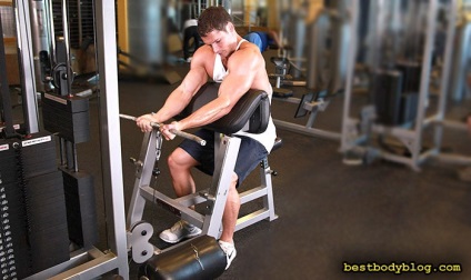 Cele mai bune exerciții pentru biceps, bar, bar, gantere
