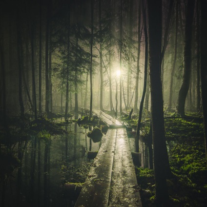 Magia nopții în fotografiile melancolice ale unui fotograf din Finlanda