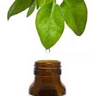 Aplicații pentru ulei de arbore de ceai