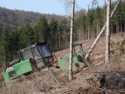 Világ bozótirtó bemutatja a speciális berendezések törölje a területen a fák és cserjék