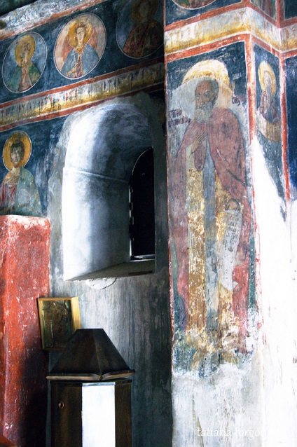 Mânăstirea Savin