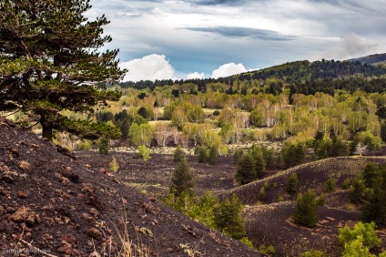 Excursia mea către Etna