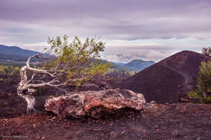 Excursia mea către Etna