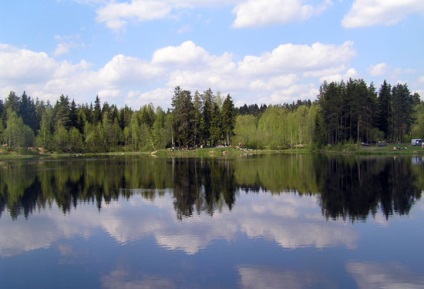 M în oraș, bizon în tocsovo