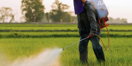 Cele mai frecvent utilizate pesticide în agricultură