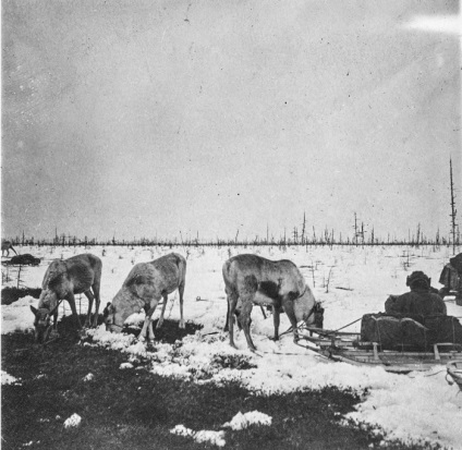 Necunoscute rusia aborigenii din Sahalin pe fotografiile fiului blindat din Pilsudski