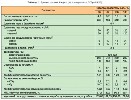 Unele aspecte ale auditului energetic al cazanului