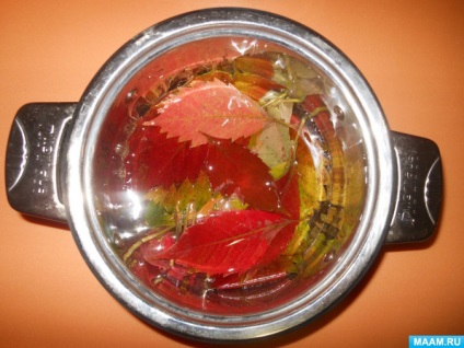 Szokatlan színek az őszi levelek glicerin