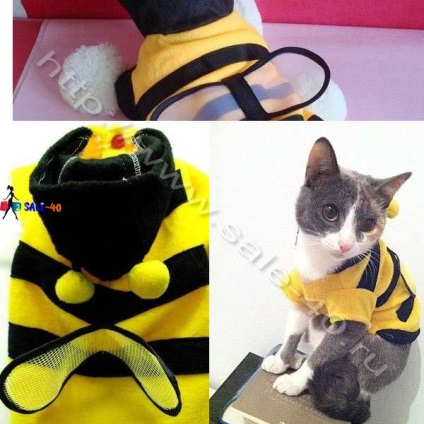 Un costum neobișnuit de albine pentru pisici de pisică sau pisică