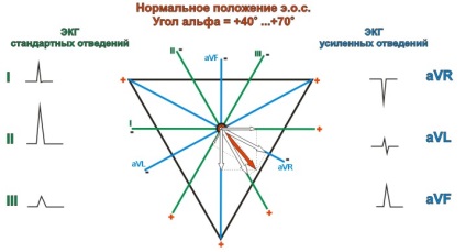 Poziția normală a axei electrice a inimii, semne normale e