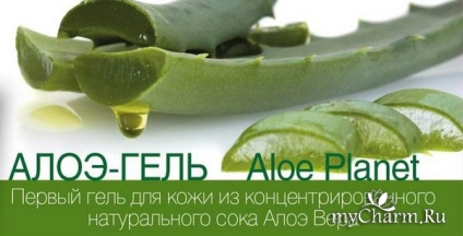 Body Wrap gel cu suc natural de aloe - gel de planta aloe cu restaurare și îngrijire a sucului de aloe