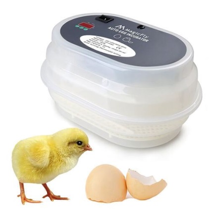 Privire de ansamblu asupra celor mai bune 7 incubatoare pentru ouă