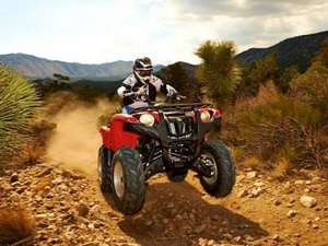 Privire de ansamblu a ATV Yamaha grizzly (Yamaha Grizzly) 700, varietăți și caracteristici