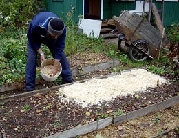 Praf de lemn în grădină