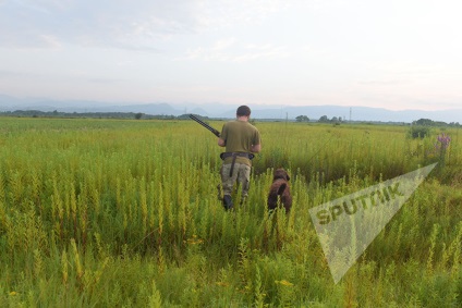 Caracteristici de vânătoare de câini naționale, păsări de curte, două trunchiuri