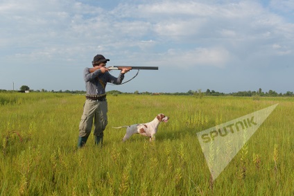 Caracteristici de vânătoare de câini naționale, păsări de curte, două trunchiuri