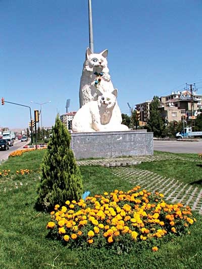 Monumente pentru pisici din lume și istoria lor