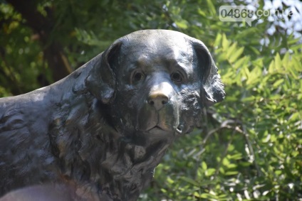 Sub Odesa, a fost instalat un monument pentru un câine, care aștepta proprietarul la 10 ani după moartea sa, Odessa