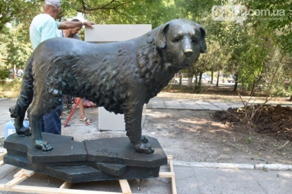 Sub Odesa, a fost instalat un monument pentru un câine, care aștepta proprietarul la 10 ani după moartea sa, Odessa