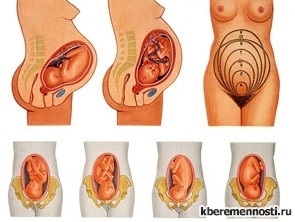 Poziția fetală în timpul sarcinii