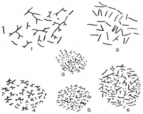 Conceptul de imunitate