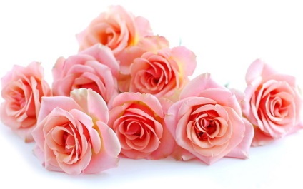 Parfum frumos de trandafir