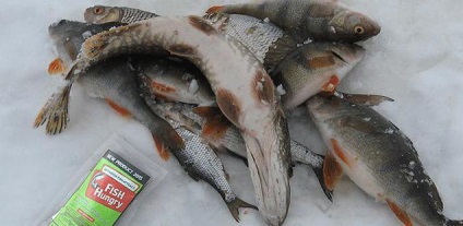 Csalihalas hangri értékelések halászok