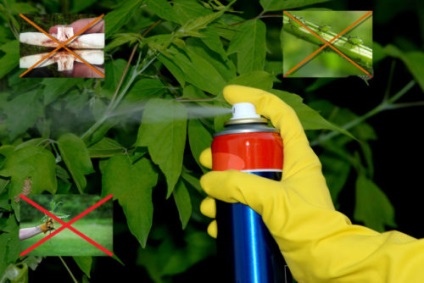 A növényvédő szerek használata a mezőgazdaságban