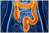 Programul de tianshi pentru intestine, o abordare integrată în tratamentul colitei cu utilizarea de rău