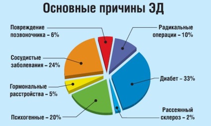 Erecția principalelor cauze ale slăbirii funcției erectile