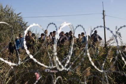 Raport din tabăra de refugiați maghiară (25 fotografii) - Trinikisi