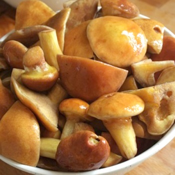 Rețete de gătit cu usturoi ca ciuperci prăjite și sare pentru iarnă
