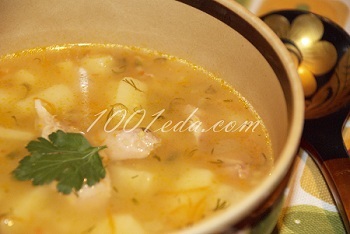 Reteta de supa cu crupe de porumb - supa de pui din 1001 de alimente