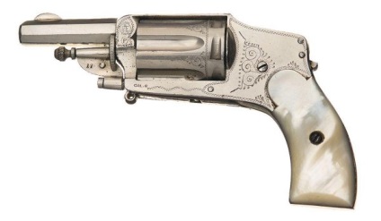Revolvers velodog - caracteristici tehnice, descriere, fotografie