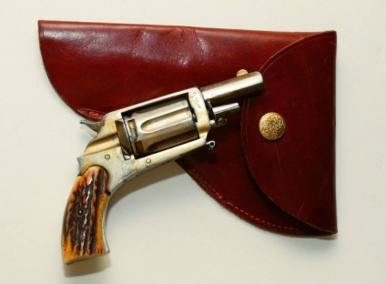 Revolvers velodog - caracteristici tehnice, descriere, fotografie