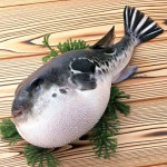 Pește fugu cu moartea în Samurai, estul dulce