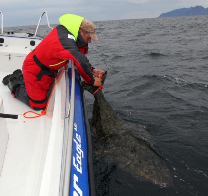 Pescuitul în excursii la Marea Barents, recenzii