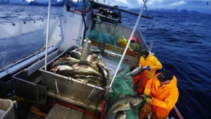 Pescuitul în excursii la Marea Barents, recenzii