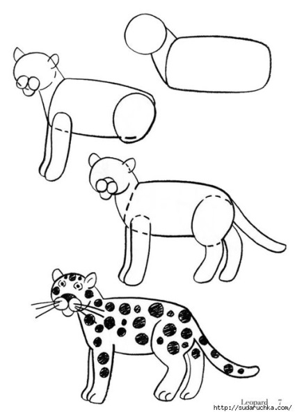 Desene creioane de animale pentru incepatori, ls