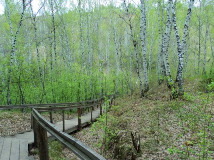 Primăvara, izvorul sfânt al vindecătorului Marelui Mucenic Pantelimon lângă satul, districtul Gorki de Argint