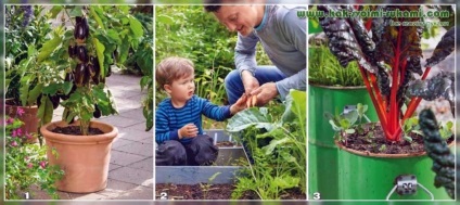 Garden Kertészeti edények és konténerek - tippeket elrendezése és karbantartása (fotó), saját kezűleg - a