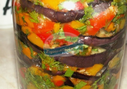 Salata pentru iarnă din vinete și tomate top-10 rețete cu fotografie