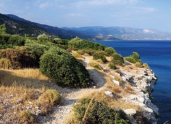 Самос, Гърция Преглед на остров «grekomania»