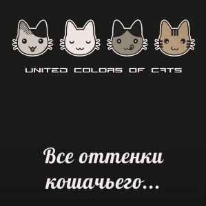 St. Petersburg! Üdvözöljük a kiállítás-pristroystvo macskák és kutyák „fekete macska fehér éjszaka”!