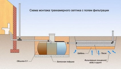 Szeptikus Triton Használat instrukiya