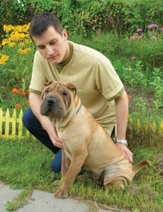 Sharpei - misterul viu al Chinei, știință și viață