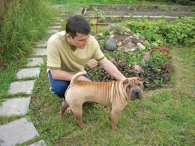 Sharpei - misterul viu al Chinei, știință și viață