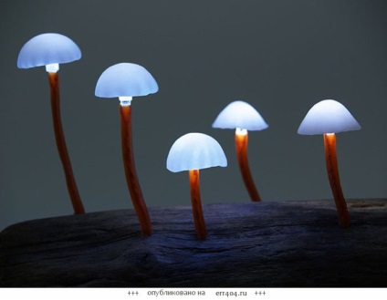 Fabule de noapte - ciuperci magice - becuri