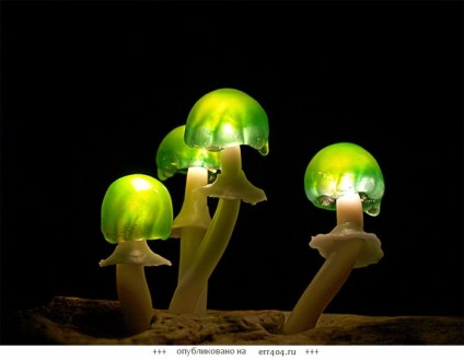 Fabule de noapte - ciuperci magice - becuri